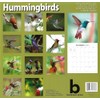 2026 Hummingbirds Full Size Wall Calendar for Planning, Scheduling, and