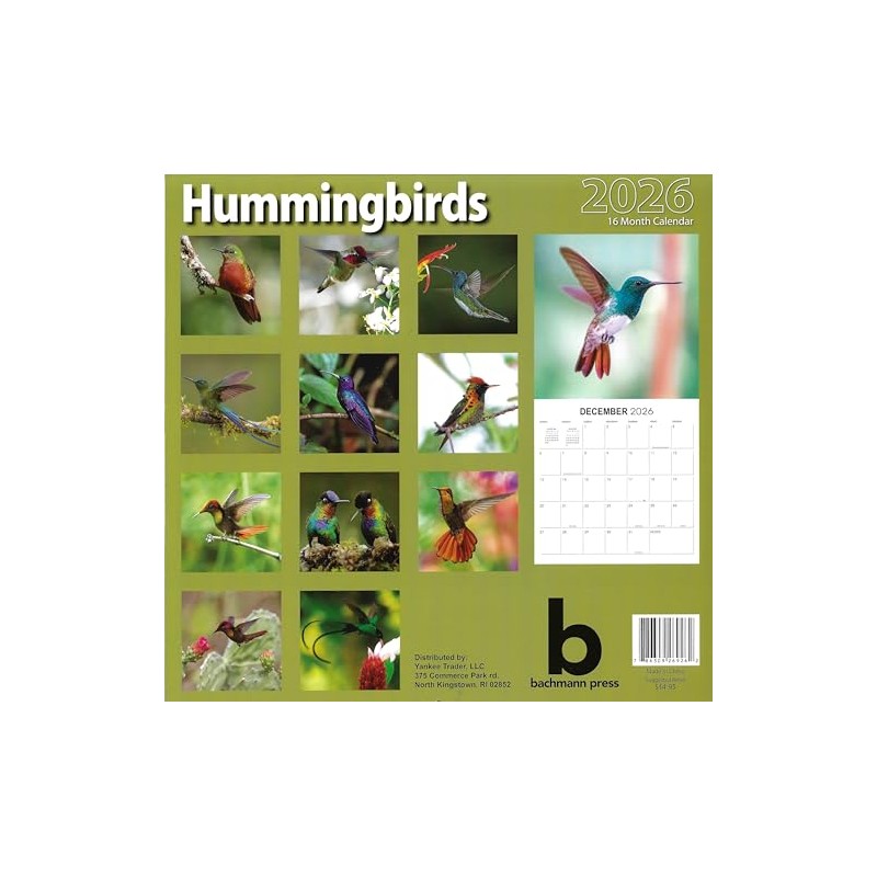 2026 Hummingbirds Full Size Wall Calendar for Planning, Scheduling, and