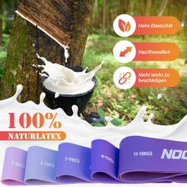 NOONCRAZY Fitness Bands Set of 5, 100% Natural Latex Resistance Bands with Exercise Instructions (English language not guaranteed), Gymnastics Band 5 Different Thicknesses, Resistance Band for