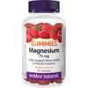 Webber Naturals Magnesium Gummy 75 mg, 75 Raspberry Flavoured Gummies,