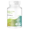 Vitamintrend Gotu Kola 750 mg, 250 Tablets, High Dose Gotu