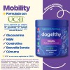 Dogelthy Pack De 2 Mobility Glucosamina Para Perros 270 Gr