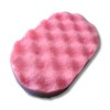 Soap Filled Exfoliating Sponge (Bonn Bonn)