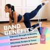 FayeFit Resistance Bands for Working Out, Set of 5 Exercise