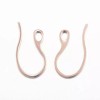Unbranded 10 pcs 304 Stainless Steel Earring Hooks with Loop