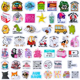 50PC Funny Stickers Decal Fun Cool Vinyl Waterproof Sticker Set Packs Sarcastic Meme Snarky Sassy Humor Silly Jokes Antisocial for Adults Gen Z Women Men Work Office Laptop Water Bottle Computer PC