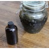HEALTH RELIC Black Walnut Extract 4 oz Organic Juglans nigra