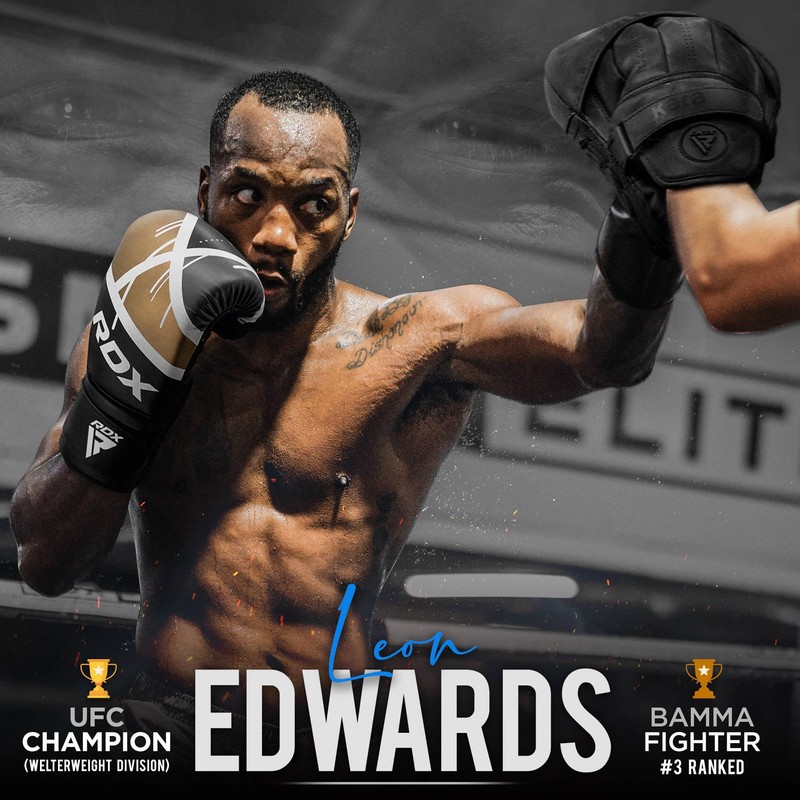 RDX Boxing Gloves Muay Thai Punching Bag Training Sparring Kickboxing