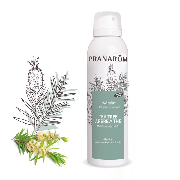 Pranarôm | Hydrolat Tea Tree - Arbre à Thé Bio | Assainissant | Melaleuca alternifolia - Distillation de plantes fraîches | 150 ml