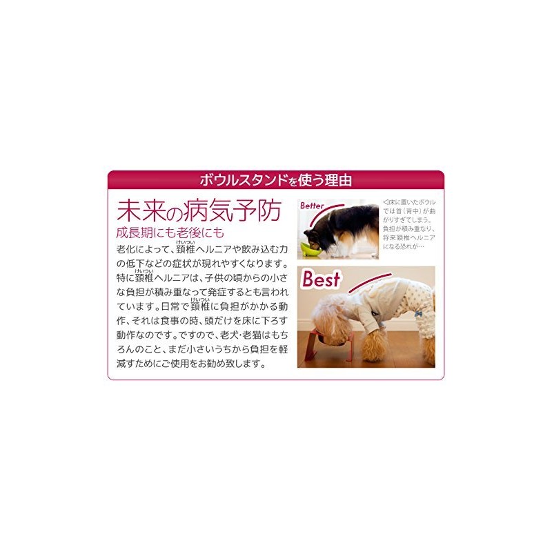 matumi (Pine Morning Mist) awa-zu hu-dobourusutando Medium Pink