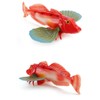 Cat Jinyama Hopebow Bamboo Barley Fish Sea Sea Sea Rock