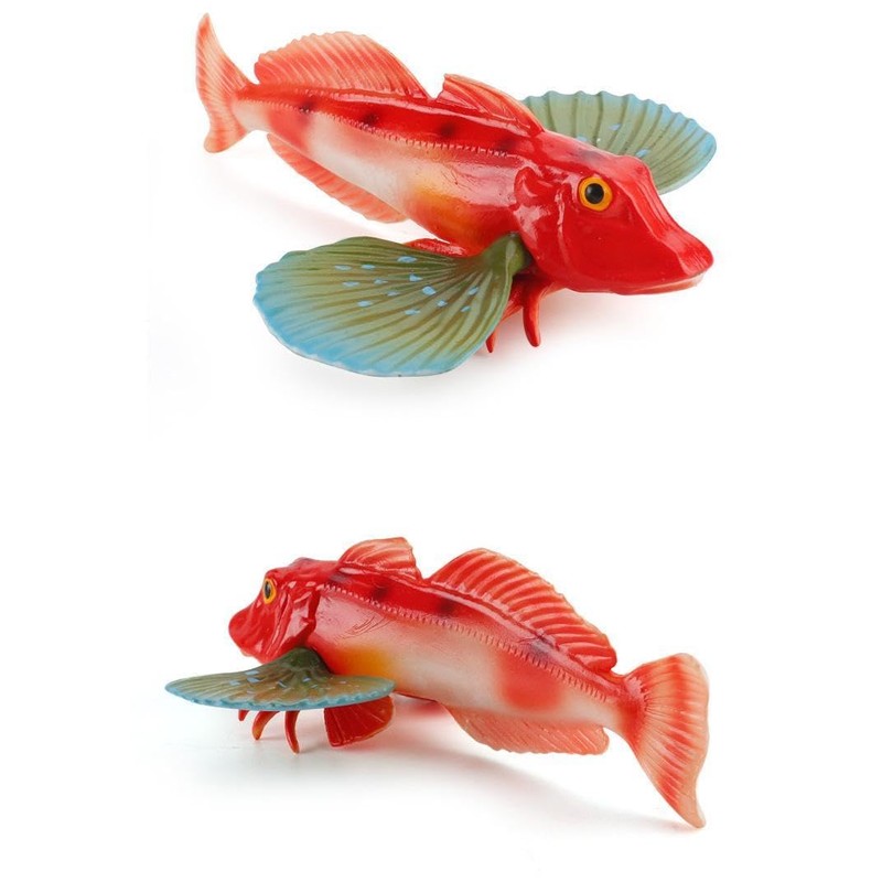 Cat Jinyama Hopebow Bamboo Barley Fish Sea Sea Sea Rock