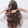 Boar Bristle Hair Brush - Natural Beechwood Detangling Brush |
