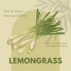 100% Pure Lemongrass Essential Oil - 10ml