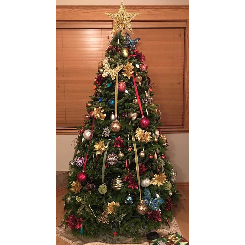 Nyicey Decoración para árbol de Navidad con 5 Puntos de