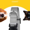 Collar para Perro y Gato. Diseño Cómodo, Resistente y Ajustable.