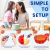 Fruit Fly Trap Refills Liquid Only 12 Pack,Fruit Fly Gnat