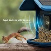 Bird Feeder with Camera Solar Powered : Smart Camera Bird