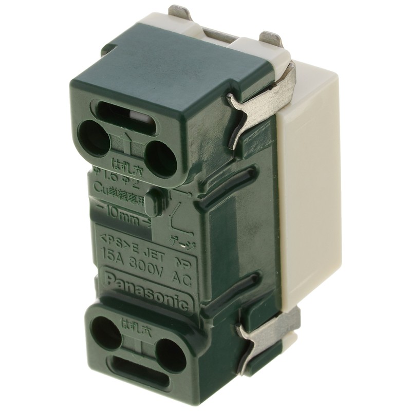 Panasonic WN5061P Full Color Embedded Name Switch B