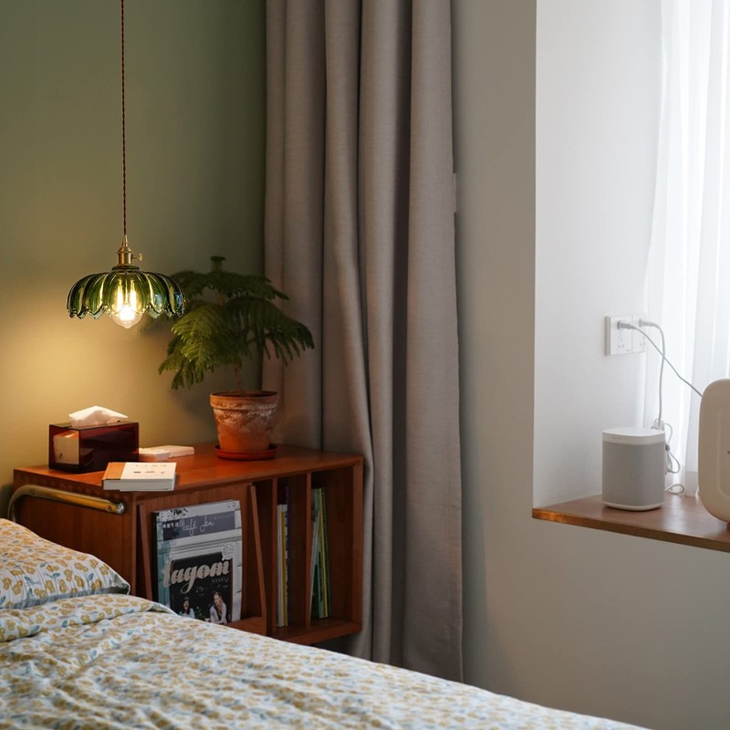 XZHGCEE Plug in Pendant Light Fixtures: Hanging Light Plug in