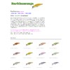 Daysprout Rakamour 50HS #01 Akakin Yamame OR Berry