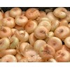 Cipollini Yellow Onion - Coin Shaped Sweet Onion - 400