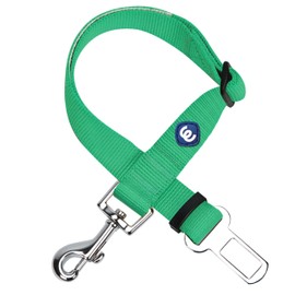 Blueberry Pet Dog Leash - Puppy Essentials for Dog Lovers, Emerald Safety Tether for Road Trips, Heavy Duty Dog Leashes for Large Dogs, Must-Have for Safety-Conscious Pet Parents