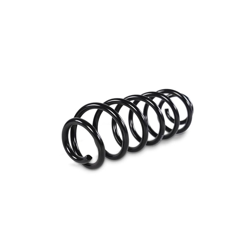 BESTPRICE 2x Suspension Springs Rear Left & Right Compatible with
