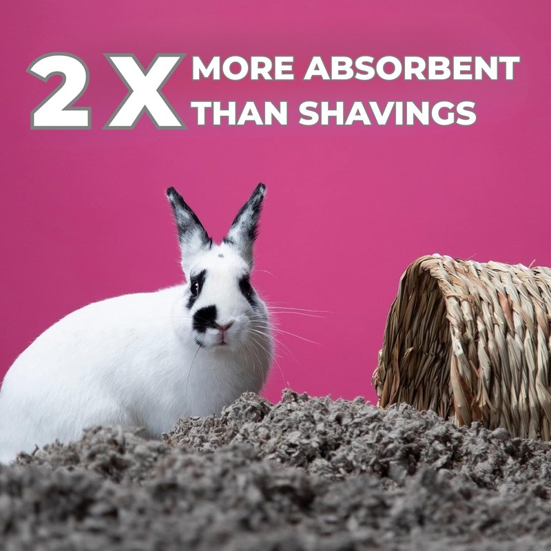 Premium Small Animal Bedding – 10L, Super Soft, 10-Day Odour