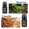 Kit De 14 Aceites Esenciales Aromaterapia 100% Puro 10ml Spa