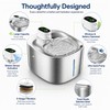 4L Wireless Pet Water Fountain for Cats & Dogs –