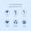 TEIA COSMETICOS Tónico de Niacinamida Equilibrante – Control grasa, tono