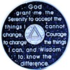 AA One-Year Sobriety Coin with Glitter Enamel – Fancy Velvet