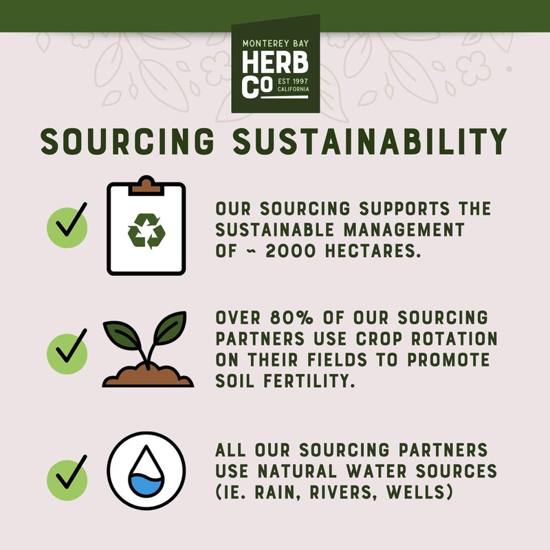 Monterey Bay Herb Co. Hibiscus Mint Tea | Citrus &