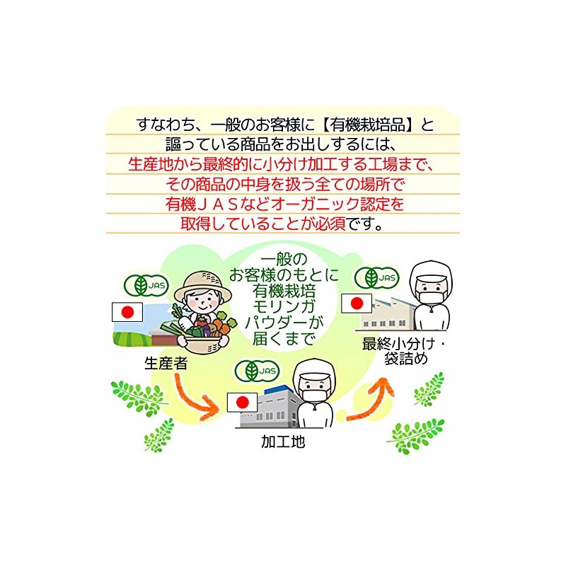 ヘルシーカンパニー オーガニック 国産 モリンガパウダー100ｇ モリンガ粉末 モリンガ青汁 こだわり製法 有機