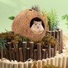 Yeqqzq Coconut Hut Hamster House Bed, Coconut Shell House for