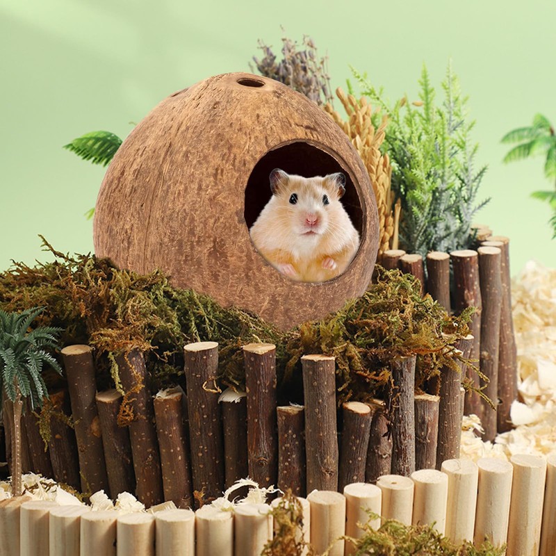 Yeqqzq Coconut Hut Hamster House Bed, Coconut Shell House for
