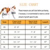 Cat Harnesses and Dog Harness with Leashes Set, Escape Proof