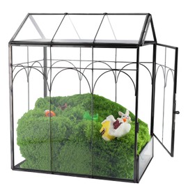 HighFree Geometric Plant Terrarium with Lid, House Succulent Terrarium Kit for Succulents Cacti Snail, Home Tabletop Miniature Terrarium (Black with Side Door)