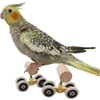 AIMALL Parrot Training Toy Pulley Skateboard for Small Birds |