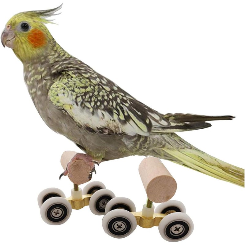 AIMALL Parrot Training Toy Pulley Skateboard for Small Birds |