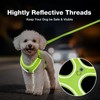 Feycig Dog Harness for Small Dogs, Anti-Pull Adjustable, Reflective Harness,