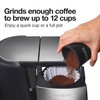 Proctor Silex Electric Coffee Grinder for Beans, Spices and More,