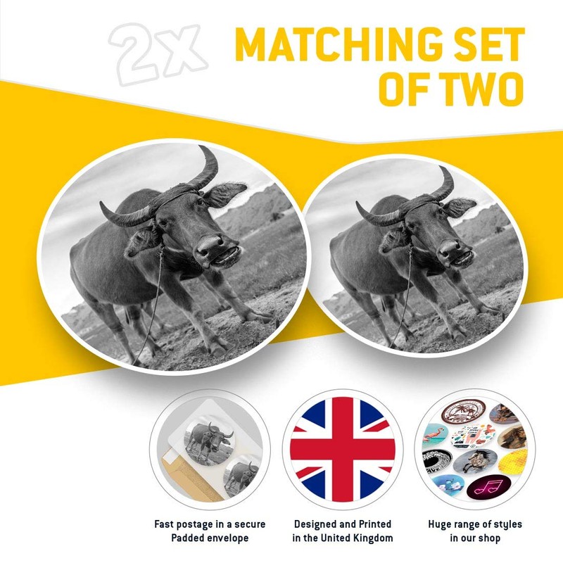 Awesome Vinyl Stickers (Set of 2) 7.5cm (bw) - Carabao