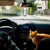 ATHAND Cute Cat Rearview Mirror Pendants,Car Decorations, Male Female Car