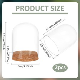 BENECREAT 2 Pcs Glass Display Cloche, 3x4.1 inches Bell Jar Dome with Cork Base, Display Dome Glass for Flower, Plant, Miniature and Craft, Home Decoration, ID: 3 inches