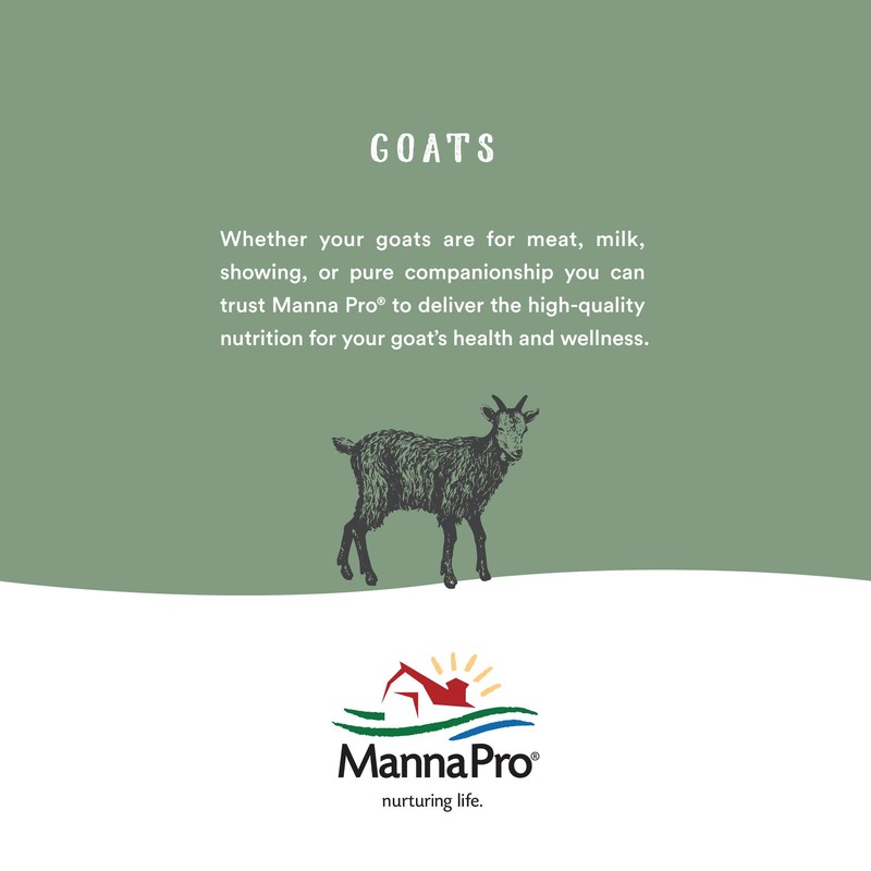 Manna Pro Goat Kid Colostrum Supplement, Feed for First 24
