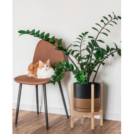 D'vine Dev Ceramic Planter with Natural Stand - 8 Inch Modern Round Flower Pot with Wood Planter Holder, Black/Speckled Tan, 55-B-N-7