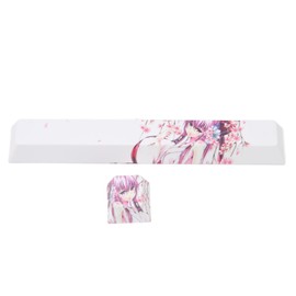 2pcs Custom Keycaps Durable PBT Compact DIY Making Attractive Decorative Replacement Parts for Mechanical Keyboards