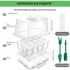 Ukipos Set de 10 Bandejas de Germinación de Semillas, Macetas